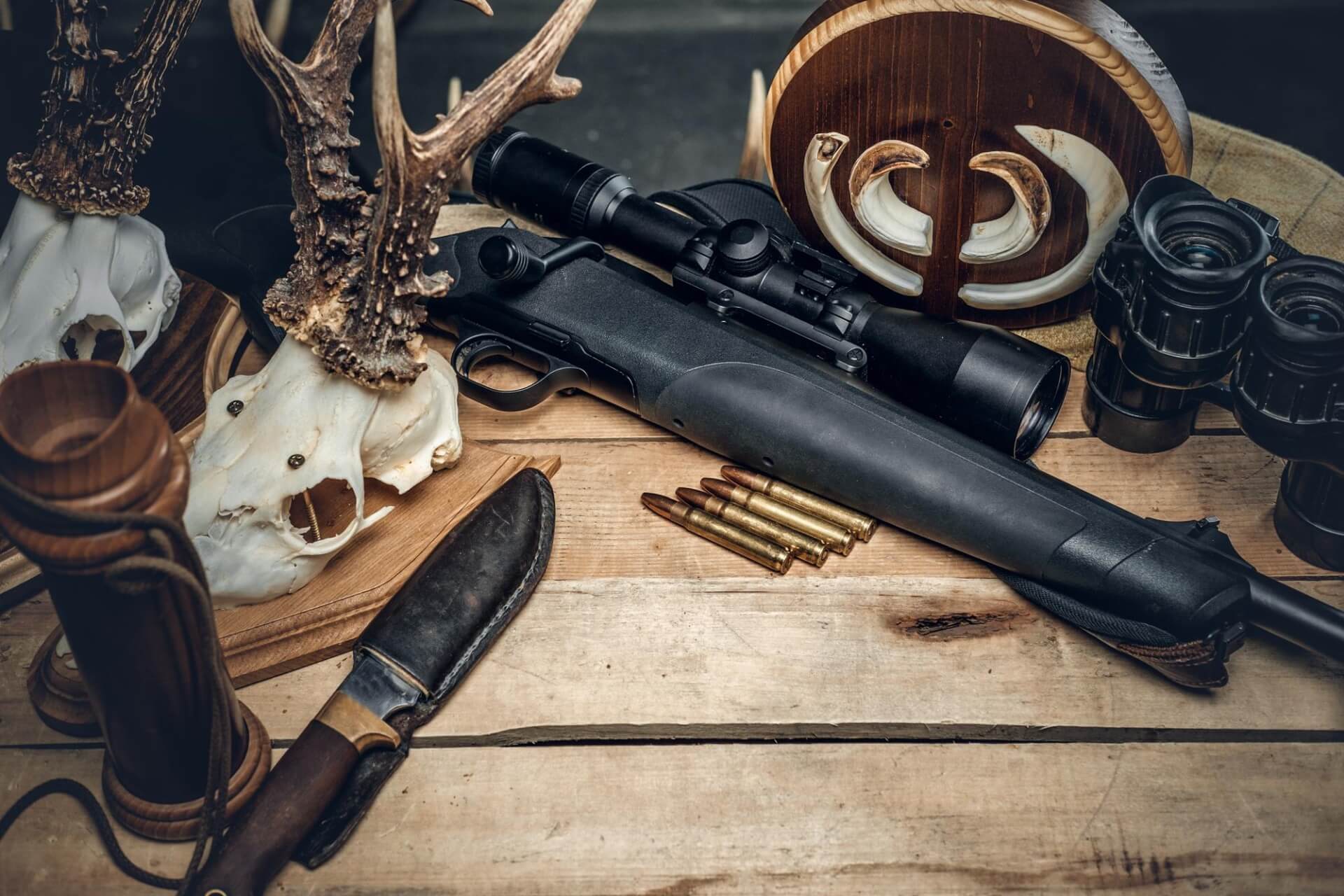 Waffen verkaufen Wert Experte